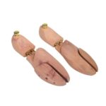 ΚΑΛΑΠΟΔΙΑ ΚΕΔΡΙΝΑ - Εικόνα 6